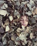 A young face partially hidden by Autumn leaves