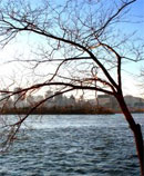 view across water of the city of Montreal
