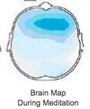 brain